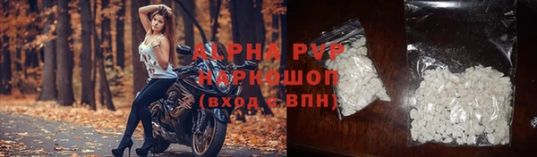 СК Дмитровск