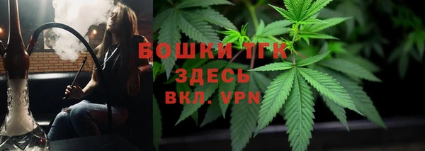 СК Дмитровск