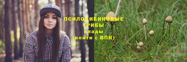 герыч Дмитров