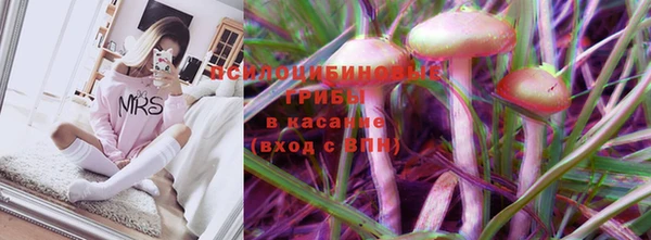 герыч Дмитриев