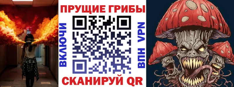 Галлюциногенные грибы GOLDEN TEACHER  Купить  Балаково 